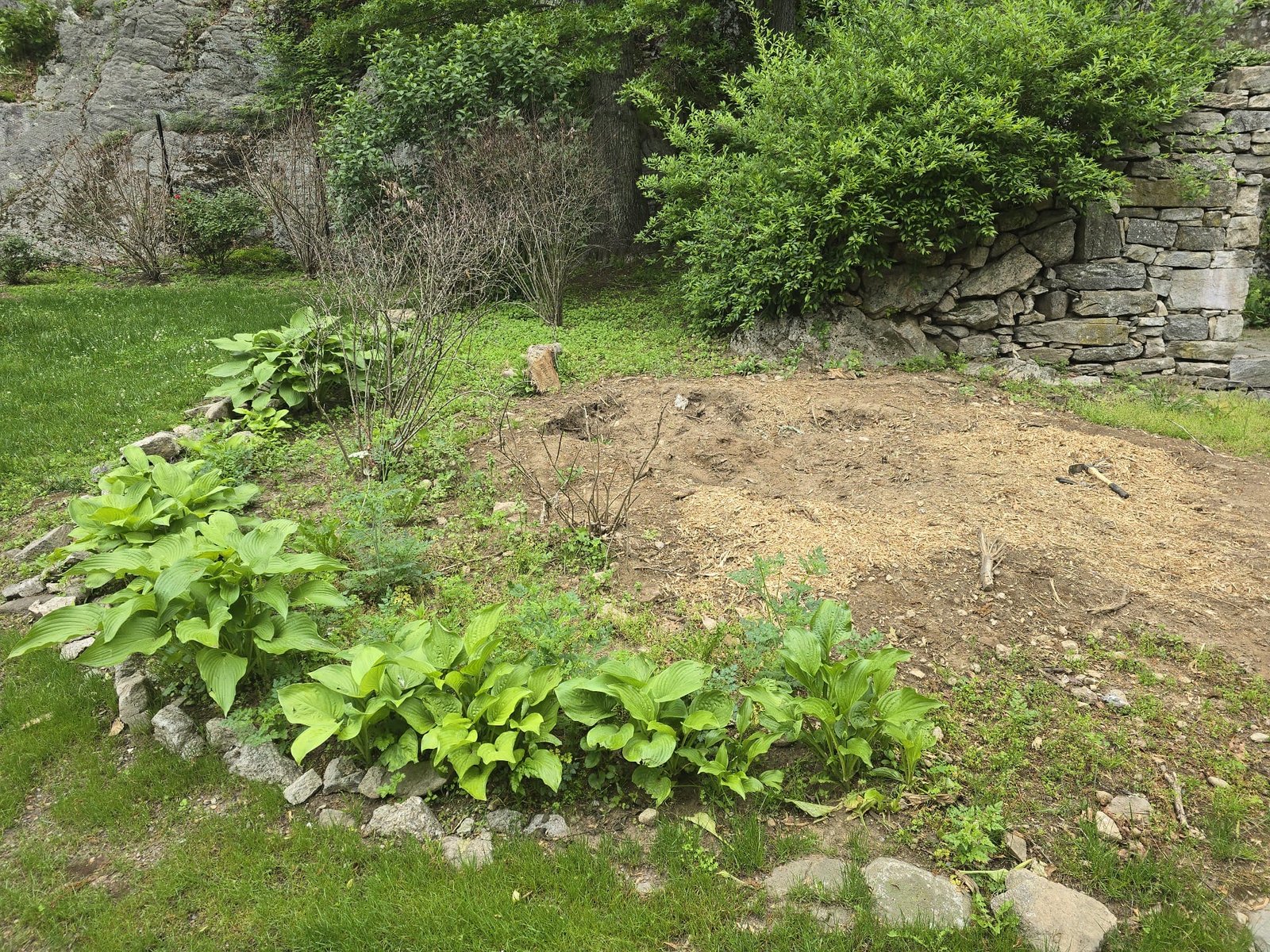 0c6e38dc-2ad1-4f39-bd23-e608120d6467